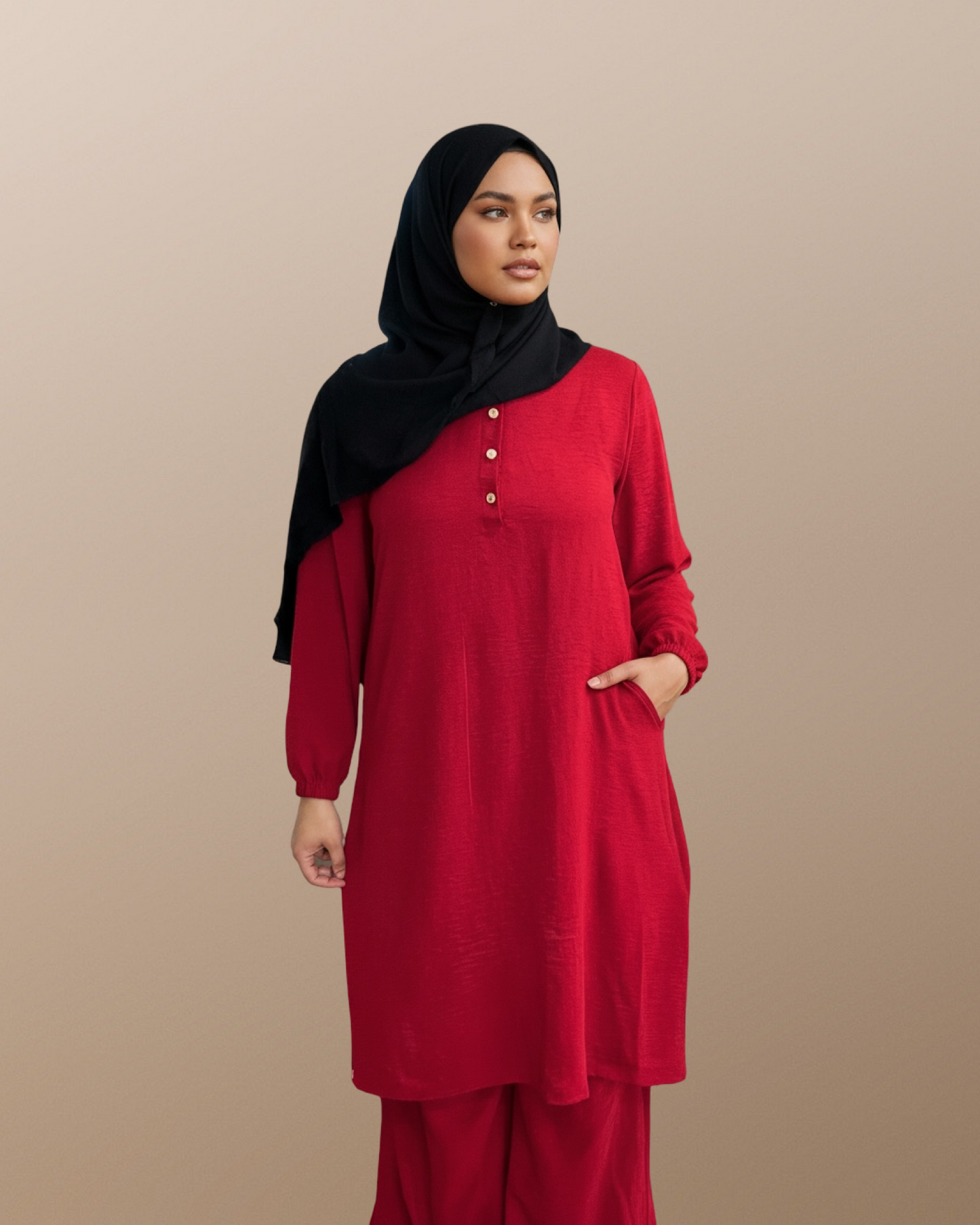 Plus size 2-Piece Button Up Dress with Pockets (Style 2)